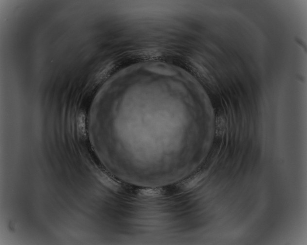 X0000093240238200710171447