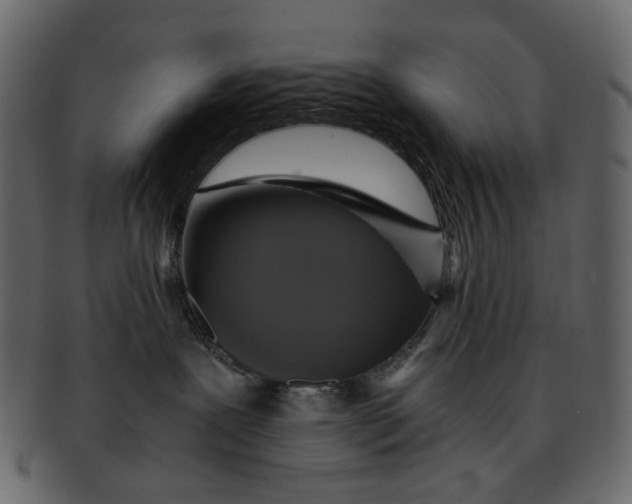 X0000093240239200710171447