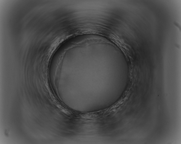 X0000093240241200710171447