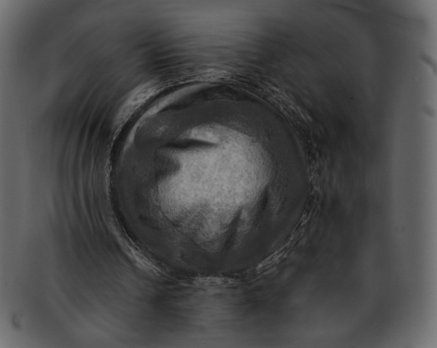 X0000093240242200710171447