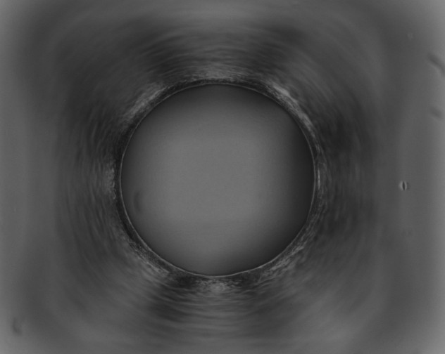 X0000093240249200710171447