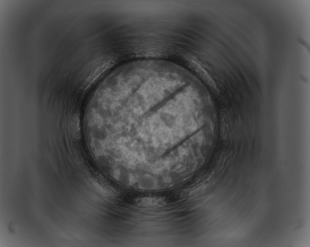 X0000093240251200710171447