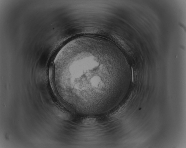 X0000093240252200710171447