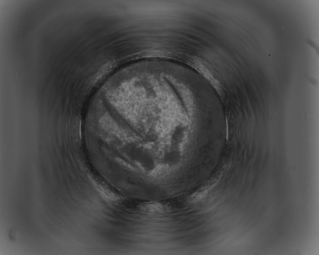 X0000093240253200710171447