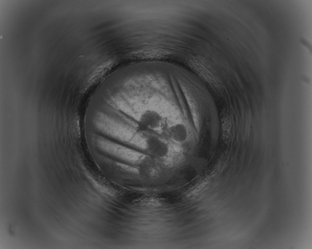 X0000093240254200710171447