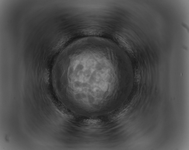 X0000093240255200710171447