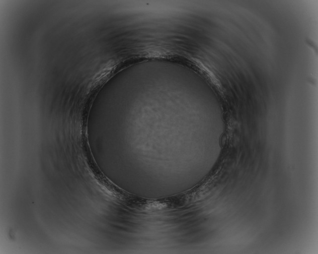 X0000093240257200710171447