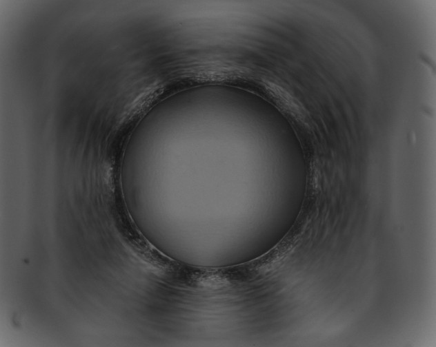 X0000093240258200710171447