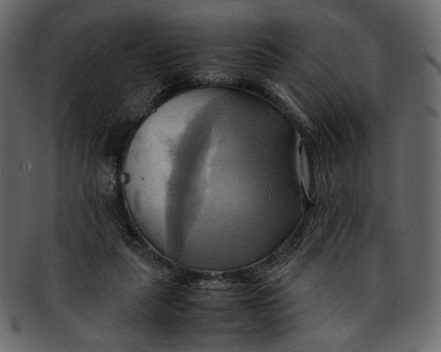 X0000093240259200710171447