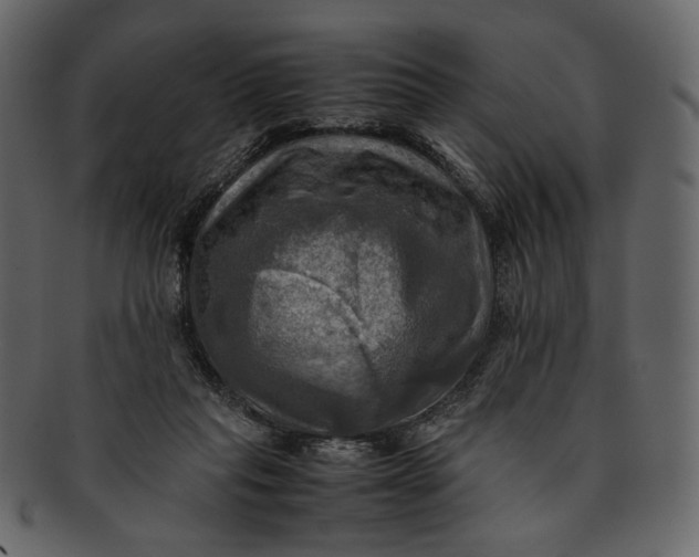 X0000093240261200710171447