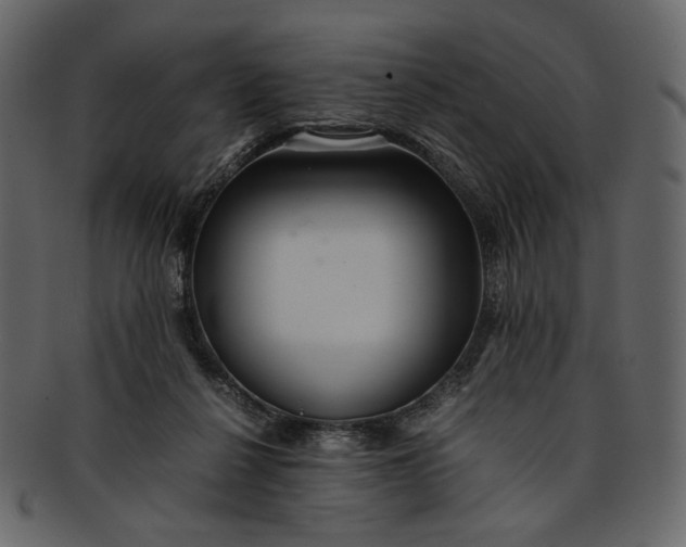 X0000093240264200710171447