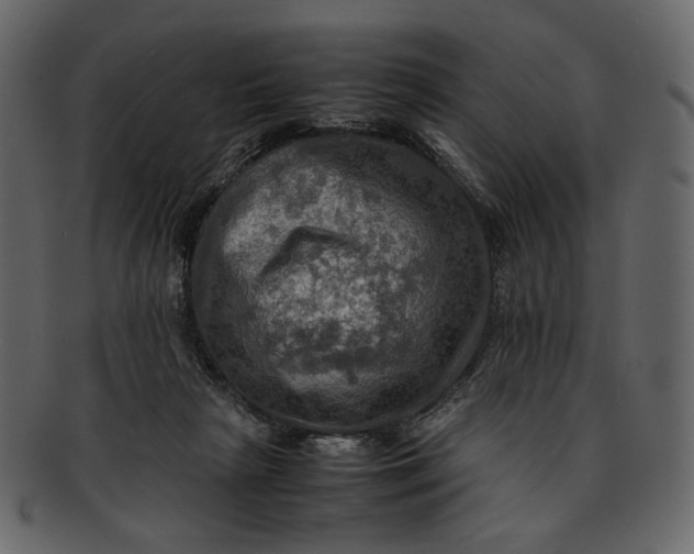 X0000093240265200710171447