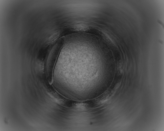 X0000093240268200710171447