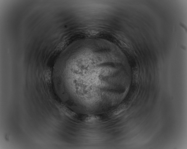 X0000093240274200710171447