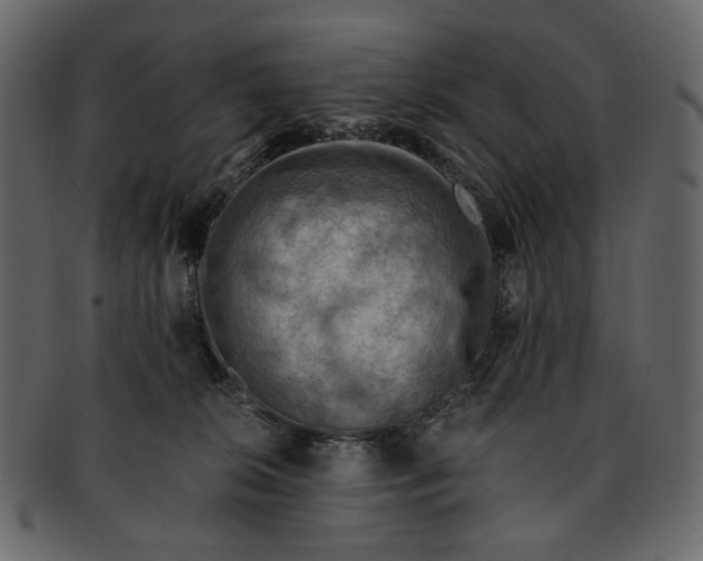 X0000093240276200710171447