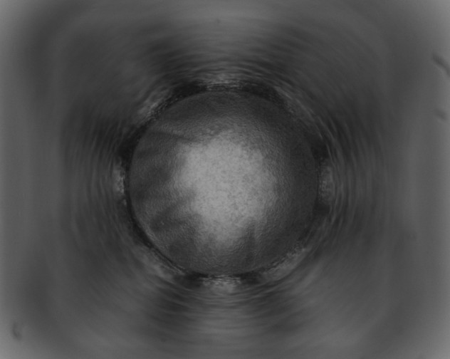 X0000093240282200710171447