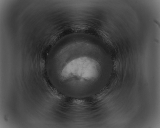 X0000093240283200710171447