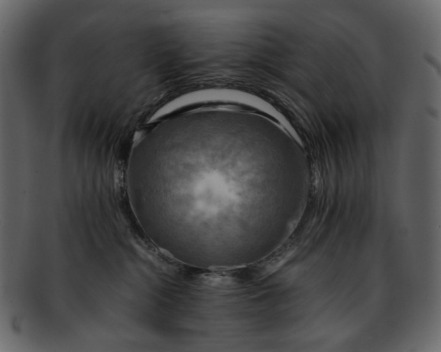 X0000093240284200710171447