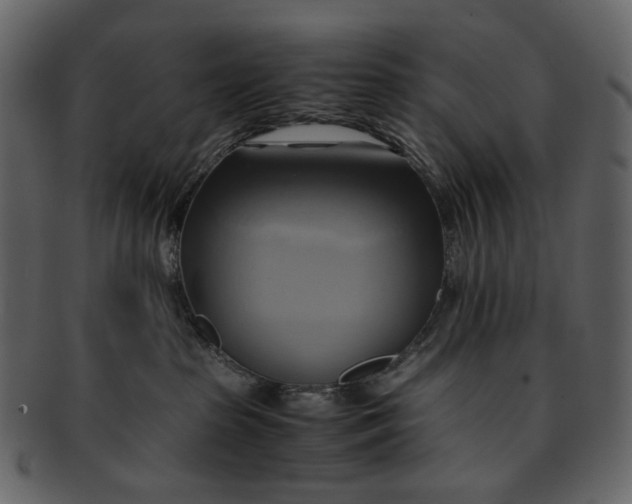 X0000093240285200710171447