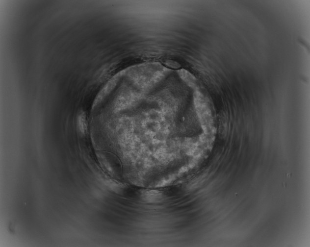 X0000093240287200710171447