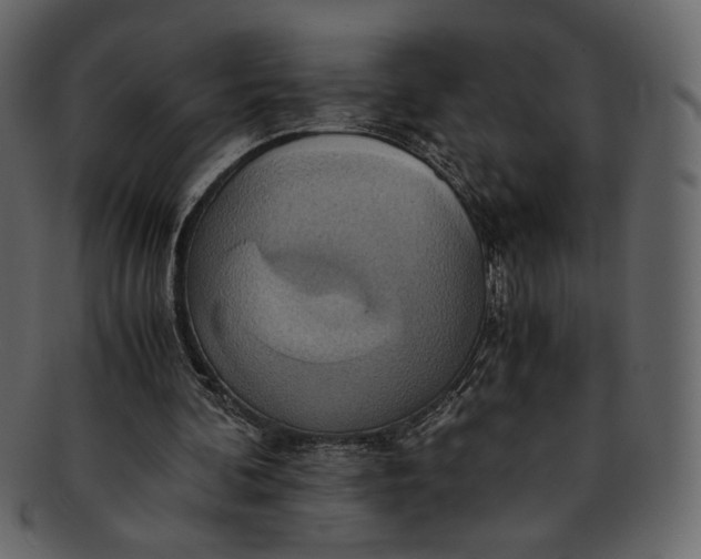 X0000093240292200710171447