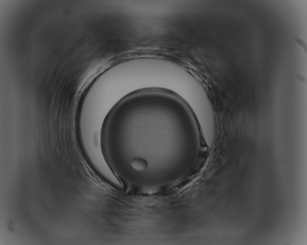 X0000093240293200710171447