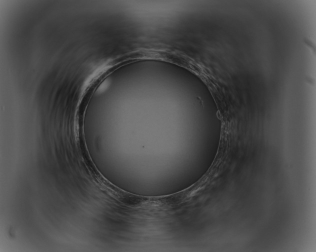 X0000093240294200710171447