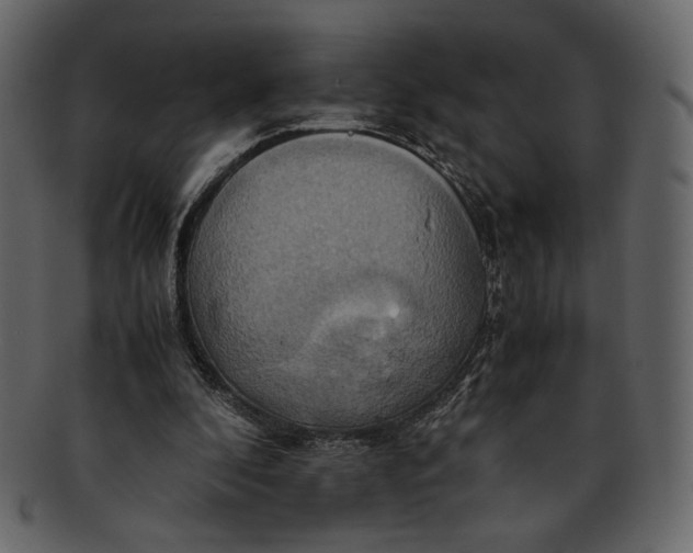 X0000093240296200710171447