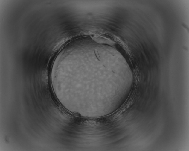 X0000093240298200710171447