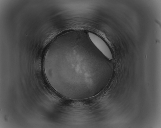 X0000093240299200710171447