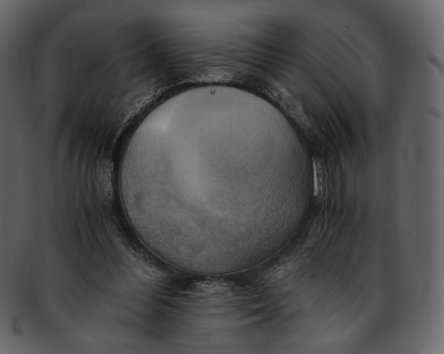 X0000093240300200710171447