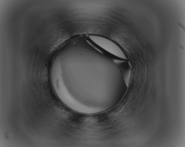 X0000093240303200710171447