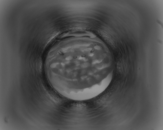 X0000093240304200710171446