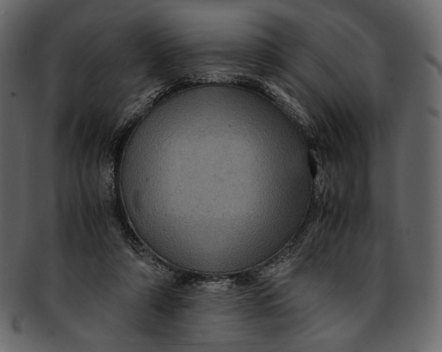 X0000093240306200710171446