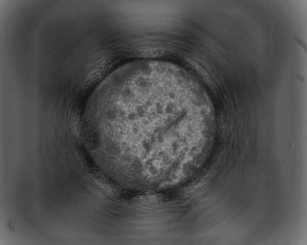 X0000093240307200710171446