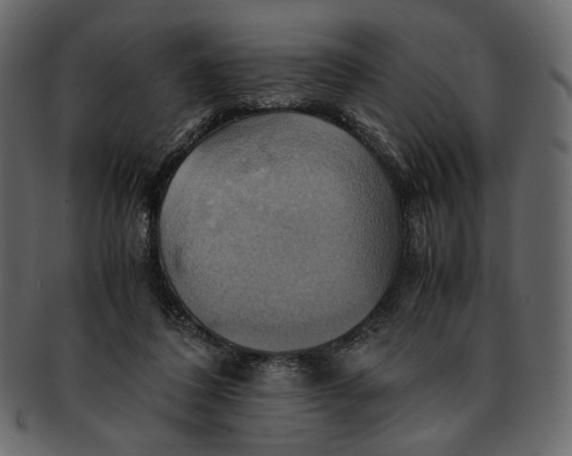 X0000093240308200710171446