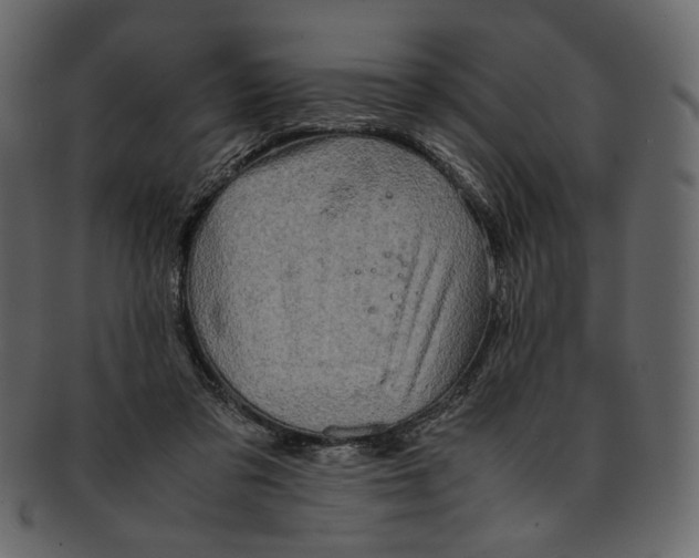 X0000093240309200710171446