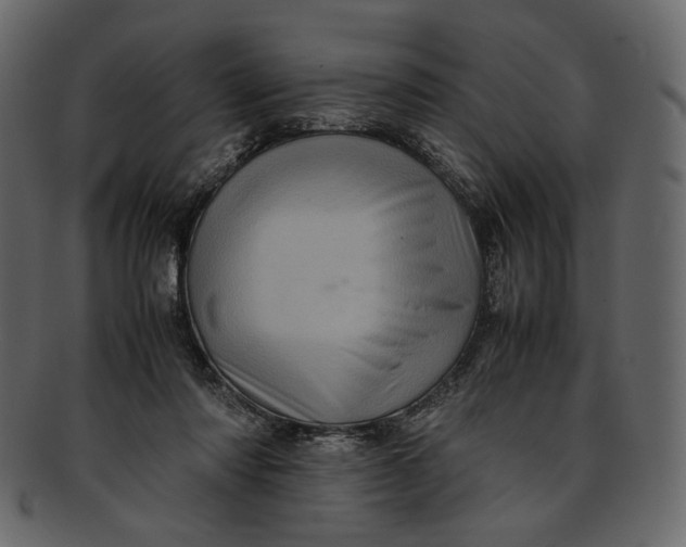 X0000093240310200710171446