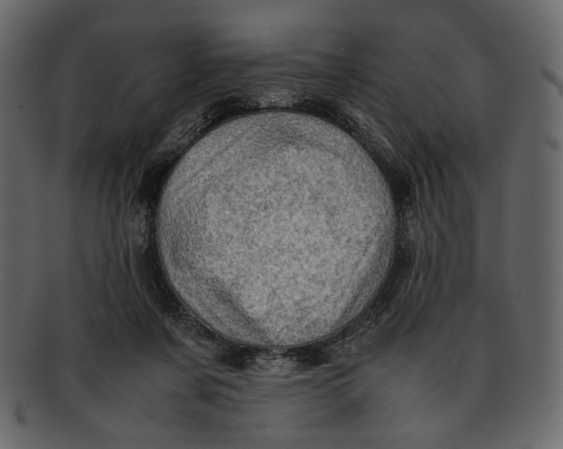 X0000093240311200710171446