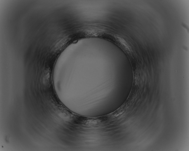 X0000093240314200710171446