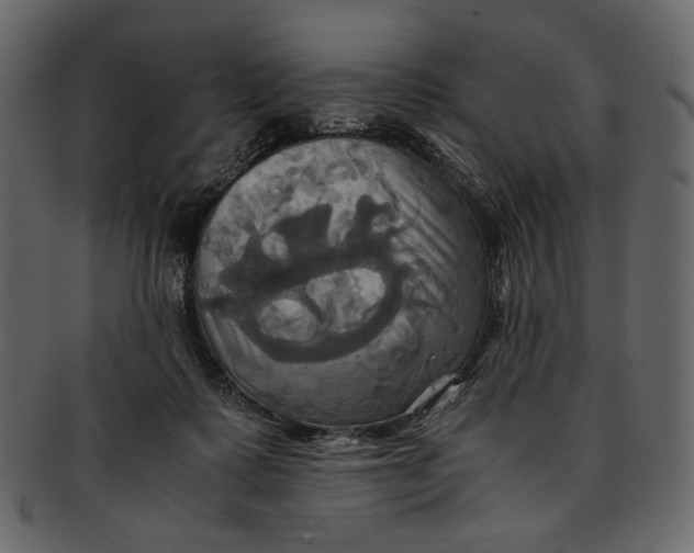 X0000093240315200710171446