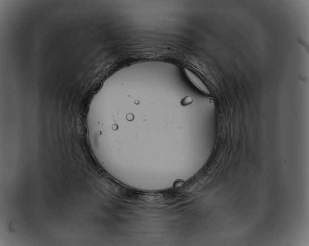 X0000093240317200710171446