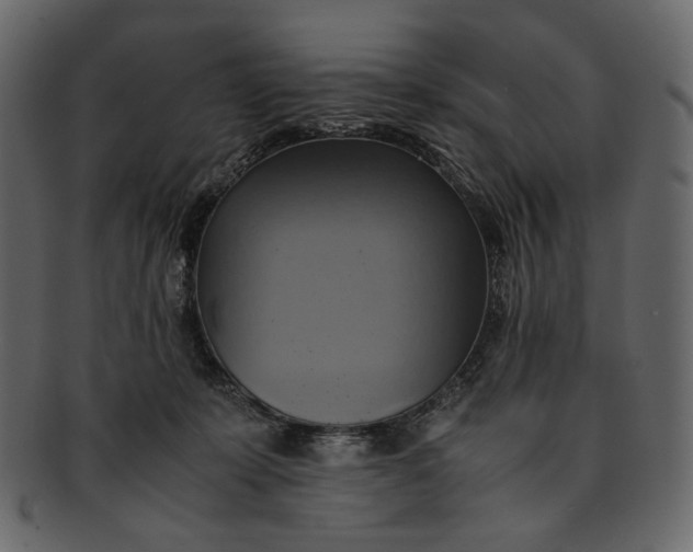 X0000093240319200710171446