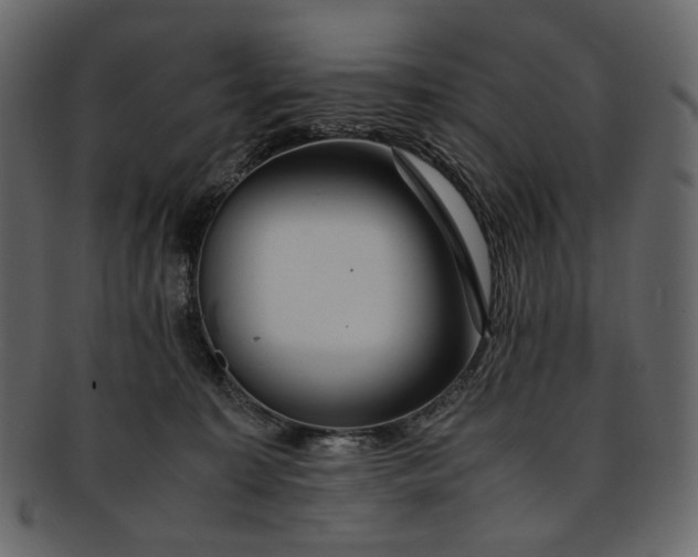 X0000093240323200710171446