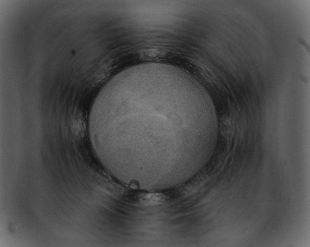 X0000093240324200710171446