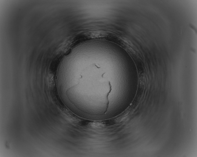 X0000093240327200710171446