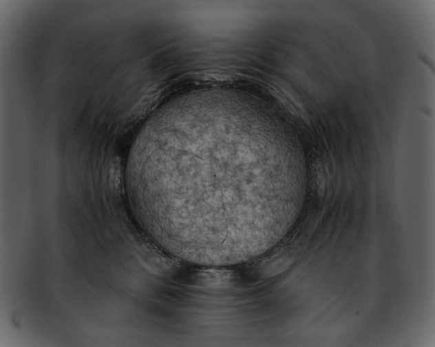 X0000093240328200710171446