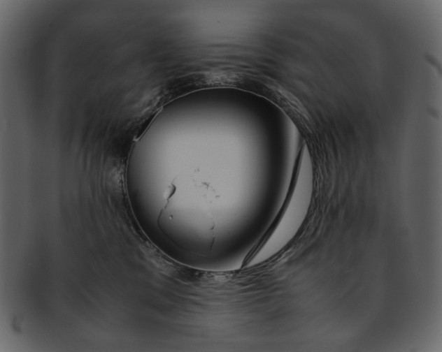 X0000093240329200710171446