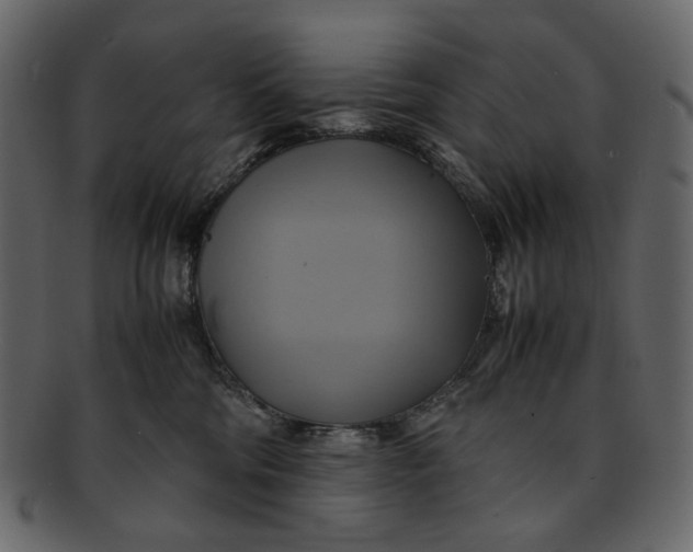 X0000093240330200710171446