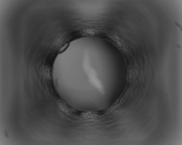 X0000093240331200710171446